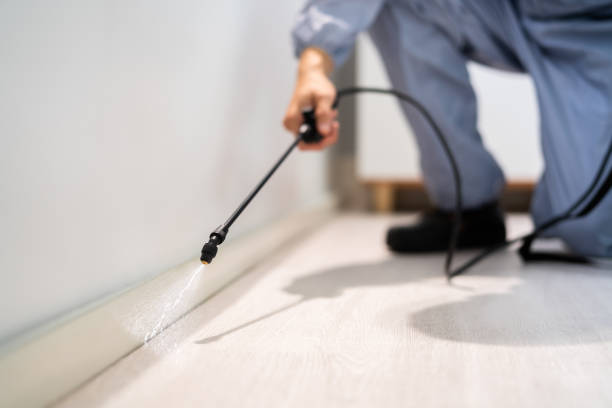 Bed Bug Pre-Treatment Preparation Assessment in Rio Vista