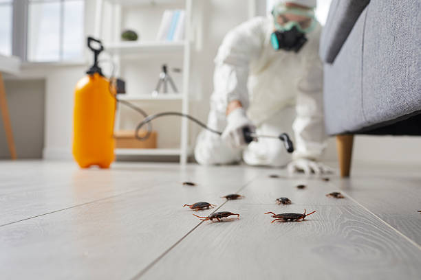 Post-Treatment Bed Bug Interceptor Monitoring in Rio Vista