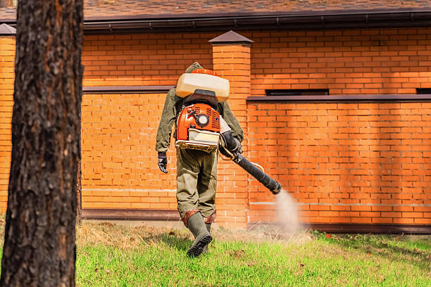 Bed Bug Clearance Verification and Documentation in Rio Vista